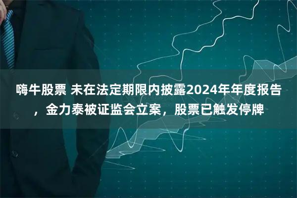 嗨牛股票 未在法定期限内披露2024年年度报告，金力泰被证监会立案，股票已触发停牌