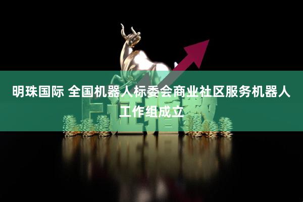 明珠国际 全国机器人标委会商业社区服务机器人工作组成立