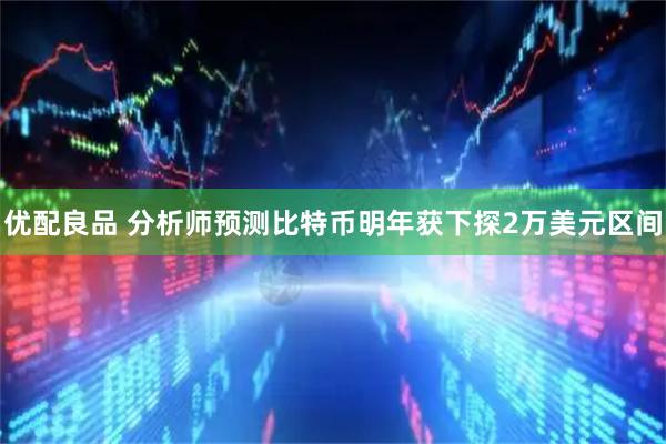 优配良品 分析师预测比特币明年获下探2万美元区间