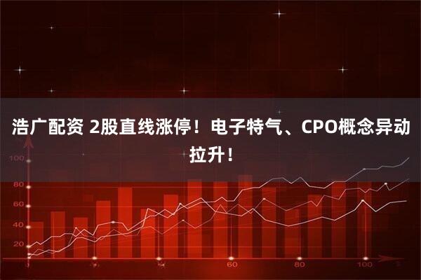 浩广配资 2股直线涨停！电子特气、CPO概念异动拉升！